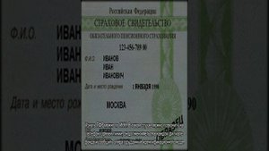 Регистрационный номер в Пенсионном фонде Российской Федерации