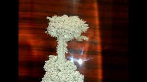 Серебро из раствора серебра в домашних условиях. Кристаллы из серебра.