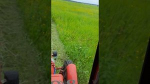 Покос луговой травы на сено.