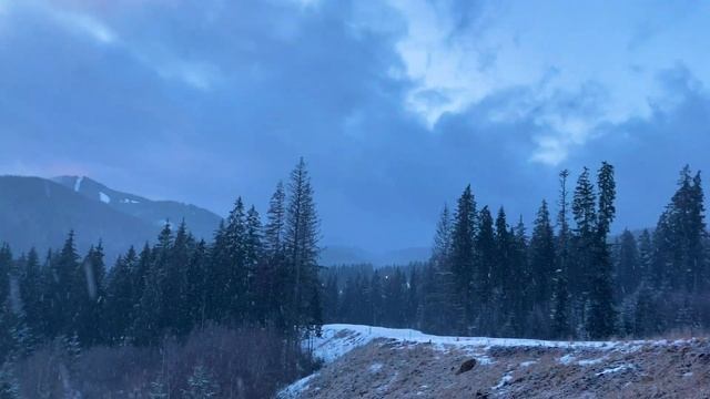 Буковель, ЦЕНЫ в НИЗКИЙ СЕЗОН, едем домой в Одессу | Homecoming смотреть онлайн