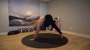 20 Animal Flow Exercises for Full-Body Strength and Mobility