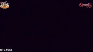 Римские свечи ОТС 4055 Империя (1,5" х 8)