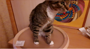 Много ли надо для рукодельного счастья