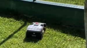 Робот газонокосилка Wiper IKE. Видео и отзыв (текст в описании) от владелицы робота Wiper IKE.