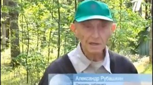 Комарово. Прошлое и настоящее писательских дач