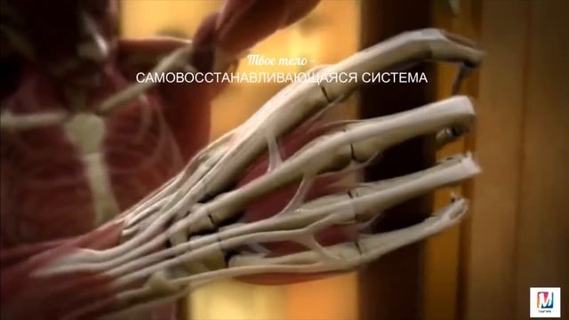 Целебный сеанс самоисцеления | Марта Николаева-Гарина