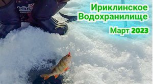 Рыбалка Ириклинское водохранилище Оренбургская область