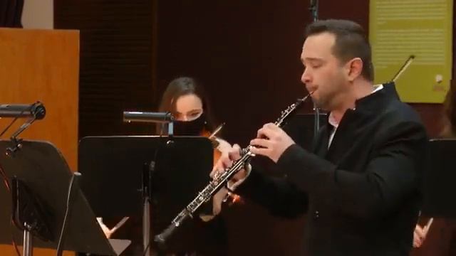 Concierto para flauta RV.428 de Vivaldi y Concierto para Oboe Op.9 No.2 de  Albinoni