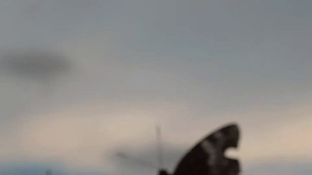 Момент бабочки. #ТебеПисьмо_ смотреть онлайн