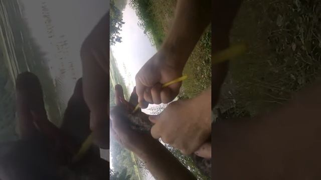 Утка попалась на крючок! смотреть онлайн