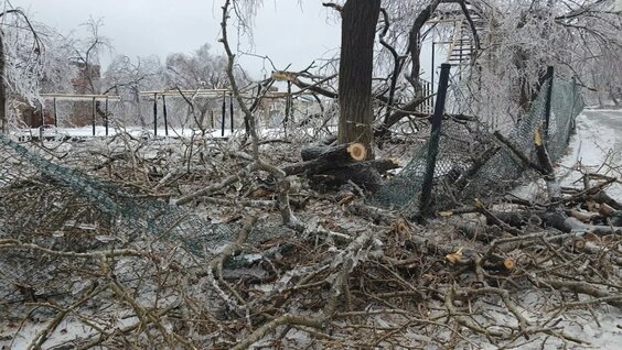 The consequences of the icy rain in Vladivostok / Reportage
Последствия ледяного дождя / Репортаж