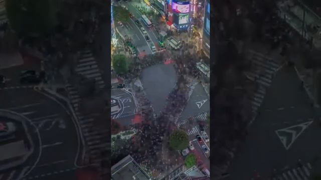 Перекресток Сибуя в Токио — самый загруженный пешеходный переход в мире