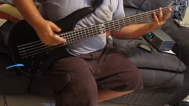 KoRn - Y'all Want A Single (K5 Bass Cover) смотреть онлайн