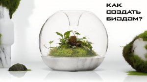 Как создать флорариум БИОДОМ?