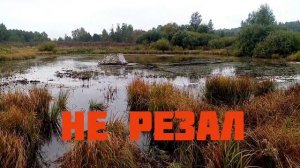 На 5000 об/м. Таскаем по болоту поисковый магнит.Гусеничный вездеход МАК.