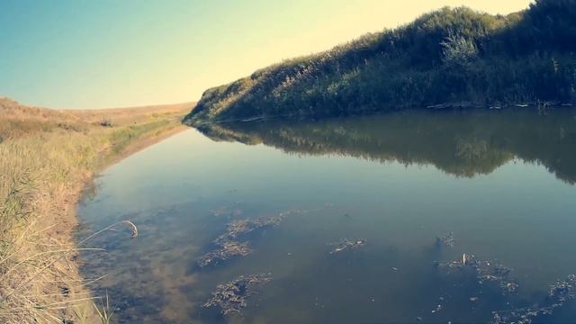Ловля окуня на вертушки р.Анката смотреть онлайн