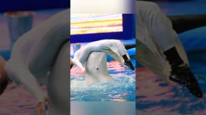 Ярославский дельфинарий