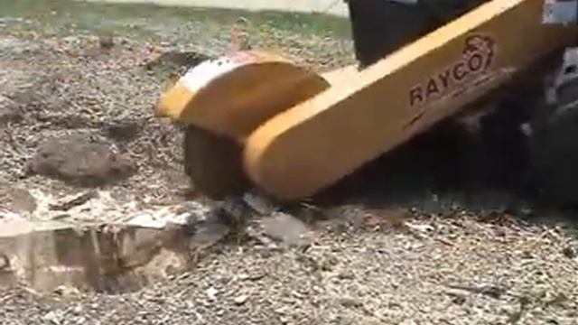 Измельчитель пней RAYCO RG 25HD
