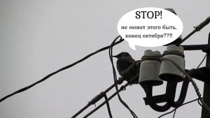 "деревенский детектив"