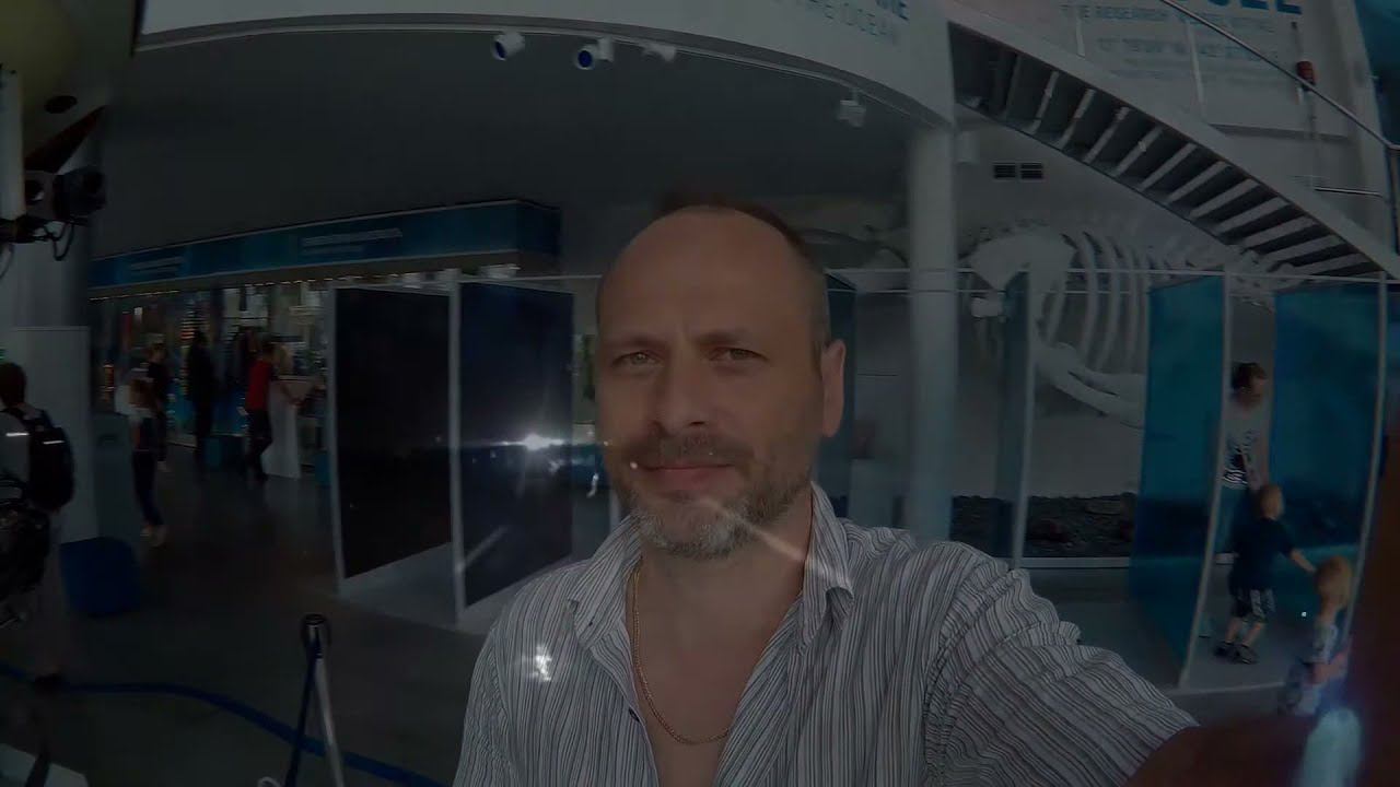 день седьмой смотреть онлайн