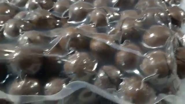 Орех Макадамия в скорлупе, упаковка смотреть онлайн