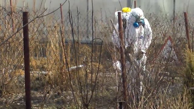 Обработка сада от клещей смотреть онлайн