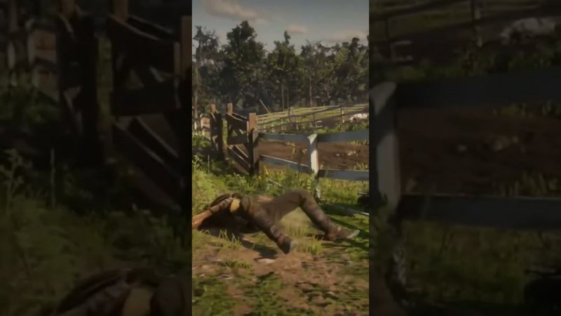 RDR2 Shorts