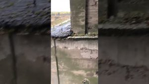 Гузятино Тверская область