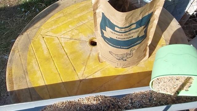 Альтернатива мясокостной, рыбной муки и дрожжам - личинка чёрной львинки. Кормление бройлеров.