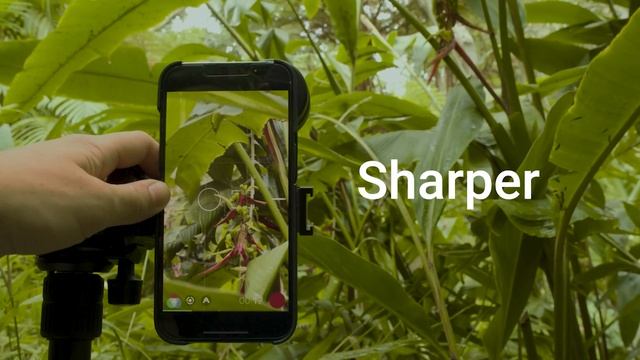 SANDMARC Telephoto Lens for iPhone смотреть онлайн