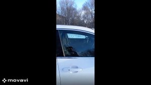 Обзор Шевроле Малибу 2020г