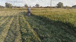 Мотоблок Брайт 135, с передней косилкой.