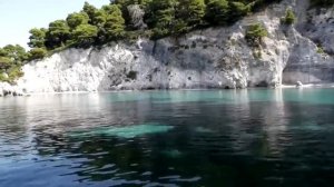 Можно ли использовать маятник в своих интересах. Вадим Зеланд