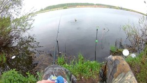 На пруду в Стрелецкой слободе в мае