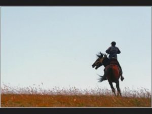 Я хотел въехать в город на белом коне