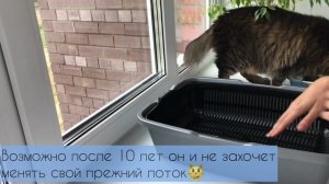 Обзор на гигантский лоток для большого кота! Понравится ли он коту