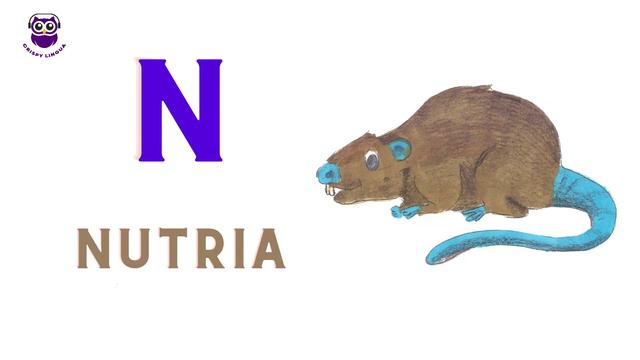 ABC FLASHCARDS FOR TODDLERS. LET’S LEARN THE ALPHABET. АЛФАВИТ НА АНГЛИЙСКОМ ДЛЯ ДЕТЕЙ.