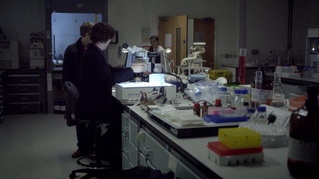 Судебно-медицинская экспертиза УТОПЛЕНИЯ смотреть онлайн