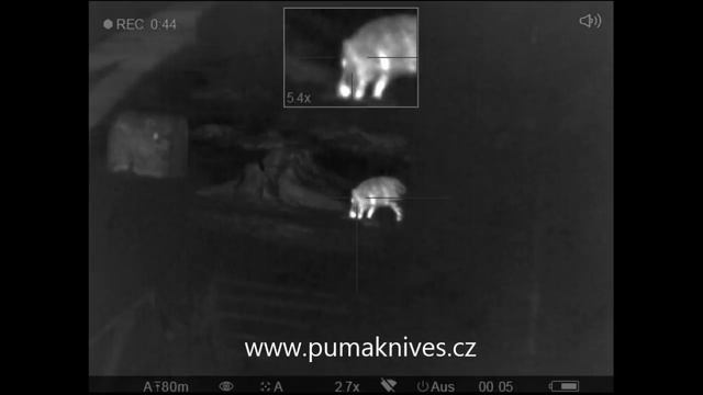 PULSAR Trail LRF XQ50 - bachyně смотреть онлайн