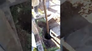 Электрический ямобур своими руками