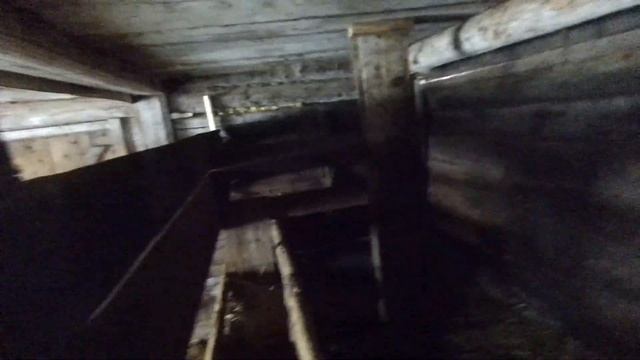 КУПИЛИ ДОМ В ДЕРЕВНЕ. ЧЕМ МЫ КОРМИМ НАШИХ КОЗ ОСЕНЬЮ И КАК ОНИ ЖУВУТ С ЛОШАДЬМИ смотреть онлайн