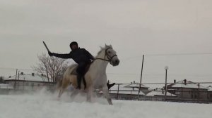 Снежни каскади с коне 28.02.2018