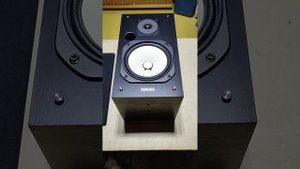 Yamaha NS 10 MT