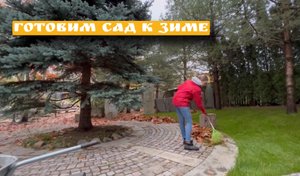 Готовим сад к зиме. Укрываем розы