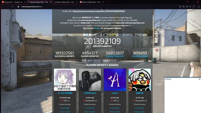 как работает репорт бот? смотреть онлайн