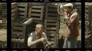 Не стреляйте в белых лебедей 5