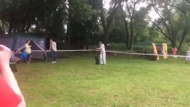 ALEKS IZ GOLUBOI LEGENDY - ЛВ кобель, Лучший производитель фестиваля! смотреть онлайн