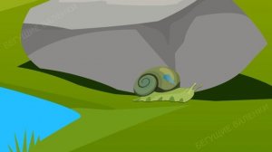 Брюхоногие моллюски: эволюция и многообразие | Познавательное видео |Удивительный мир беспозвоночны