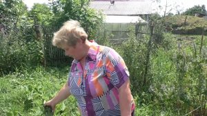 Вредители огородных культур - НОЧНАЯ СОВКА