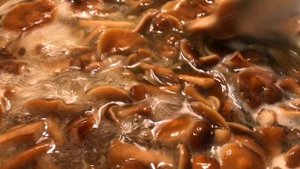 Очень ВКУСНЫЕ Маринованные ОПЯТА на зиму | Авторский рецепт | Заготовки | Грибы на зиму | Опята